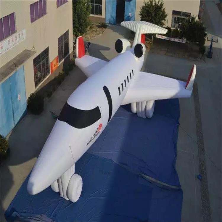 紫阳充气模型飞机
